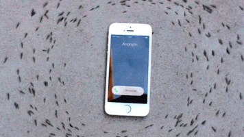 you can post on tumblr but you cant text me back? wtf GIF by Digg