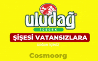 Bursa GIF