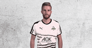 Fifa Diefohlen GIF by Borussia Mönchengladbach