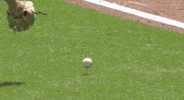 Texas Am Baseball GIF by NCAA Championships