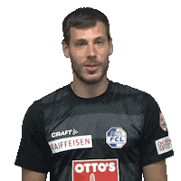 Football Soccer Sticker by FC Luzern