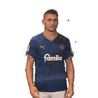 2 Bundesliga Football Sticker by Holstein Kiel