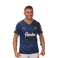 2 Bundesliga Football Sticker by Holstein Kiel