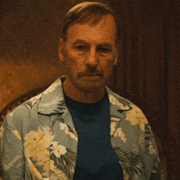 Blink Bobodenkirk GIF by Nobody