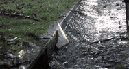 stephen king GIF by Maudit