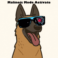 K9GRAPHICS malinois mode activate GIF