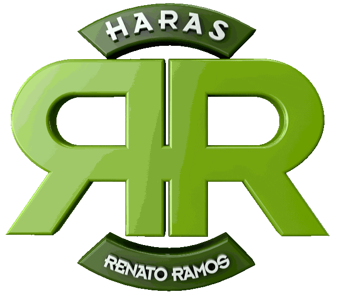 Harasrr Sticker by pesquisauto
