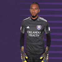 Major League Soccer Sport GIF by Orlando City SC