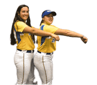 College Sports Fun Sticker by Delaware Blue Hens