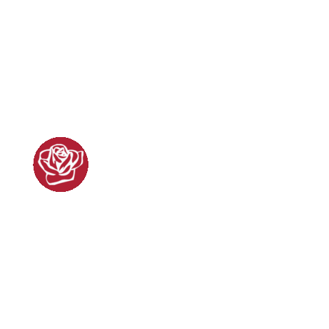 vaustleoben giphyupload rose lgbtiq vsstoe Sticker