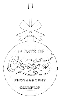 Christmas Photography Sticker by Olympus UK