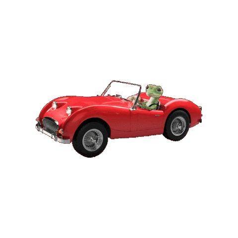 Car Driving Sticker by GEICO