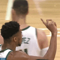Giannis Antetokounmpo No GIF by Milwaukee Bucks