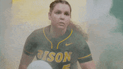 North Dakota State Softball GIF by NDSU Athletics