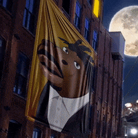 lilhipponft nyc brooklyn hippo lil hippo GIF