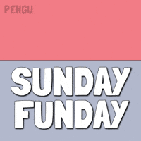 Happy Sunday Penguin GIF by Pudgy Penguins