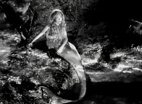 black and white mermaid GIF