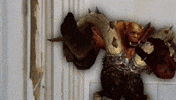 hearthstone GIF