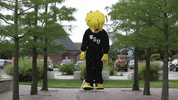 Wu_Shock college wu wsu collegelife GIF