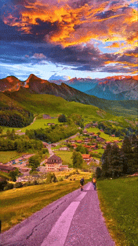 Peace Happiness GIF