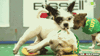 GIF by SB Nation
