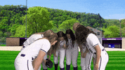 Warriors Softball GIF by WinonaStateATH