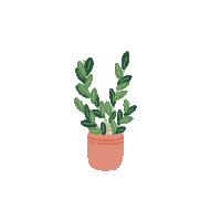 Zz Plant Sticker