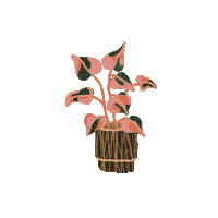 Plants Sticker