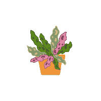 Plantober Sticker
