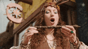 GIF by Attractiepark Toverland
