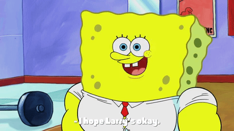season 9 GIF by SpongeBob SquarePants