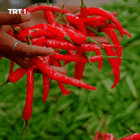 Pot Shut Up GIF by TRT