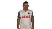 Alex Dave Sticker by Bundesliga