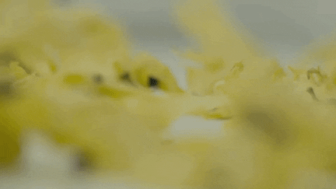 kyunghwanjung giphyupload GIF