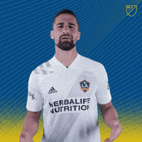 Try Me Lets Go GIF by Major League Soccer