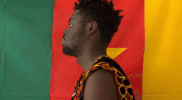 america africa GIF