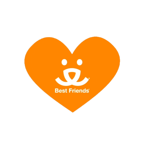 Best Friends Hello Sticker by Best Friends Animal Society