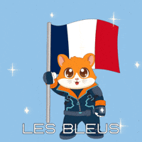 France Football GIF by Hamieverse