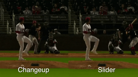 tesstass giphyupload GIF