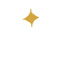 Star Sky Sticker
