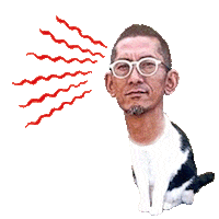 Angry Cat Sticker