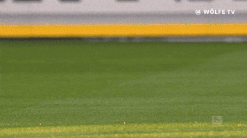 football soccer GIF by VfL Wolfsburg