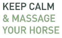Massage Sticker by NOVAFON