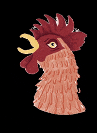 aktionagrar landwirtschaft agrar skandal nutztiere GIF