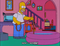 fail homer simpson GIF