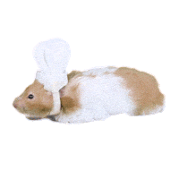 Chrissy Teigen Cooking Sticker by Cravings by Chrissy Teigen