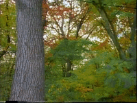 season 2 GIF