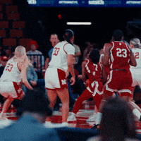 Ncaa Womens Basketball Block GIF by Huskers