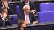 Kubicki GIF by Social Media Redaktion Bundestag