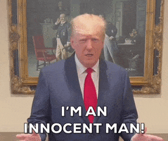 Im Innocent Donald Trump GIF by GIPHY News